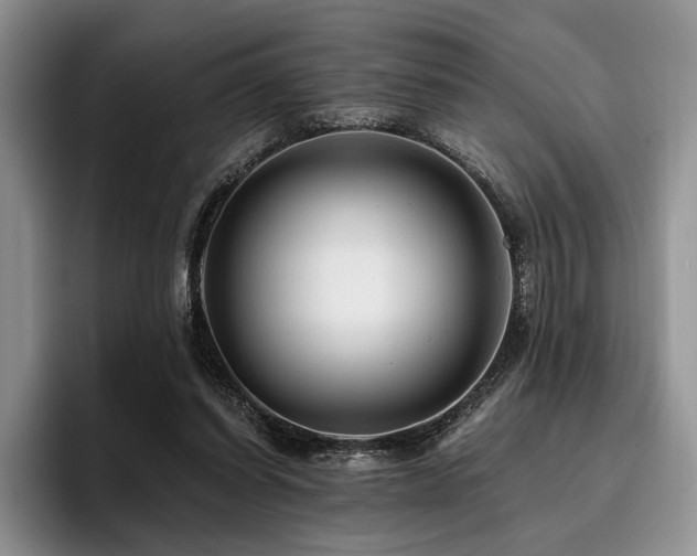 X0000096130254200801181118