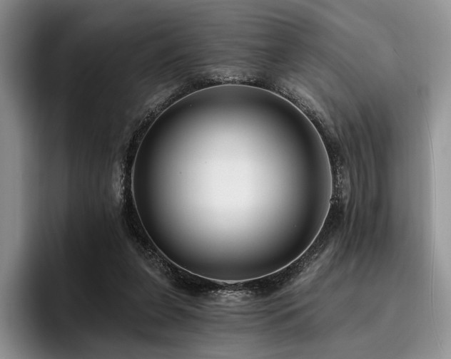 X0000096130255200801181118