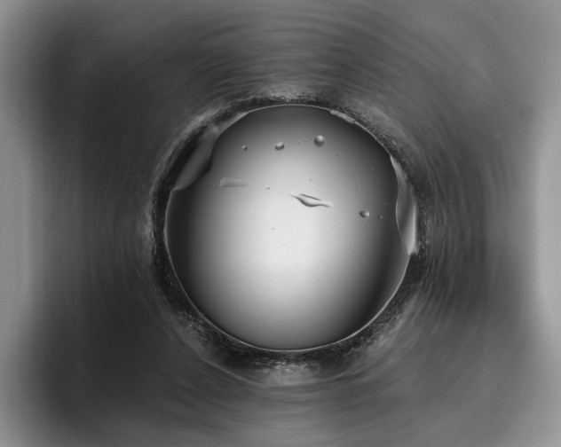 X0000096130256200801181118
