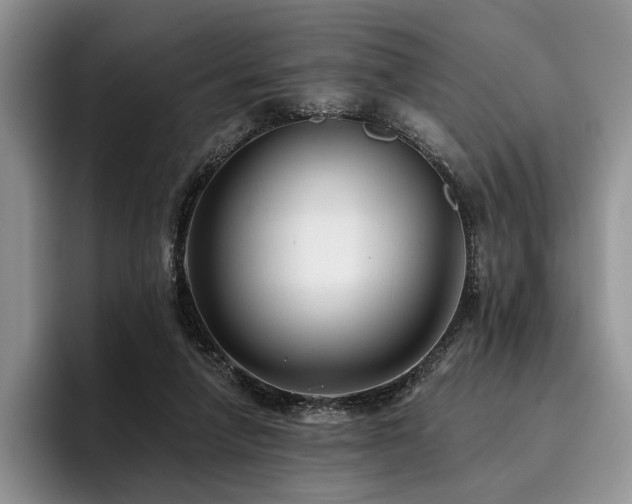 X0000096130258200801181118
