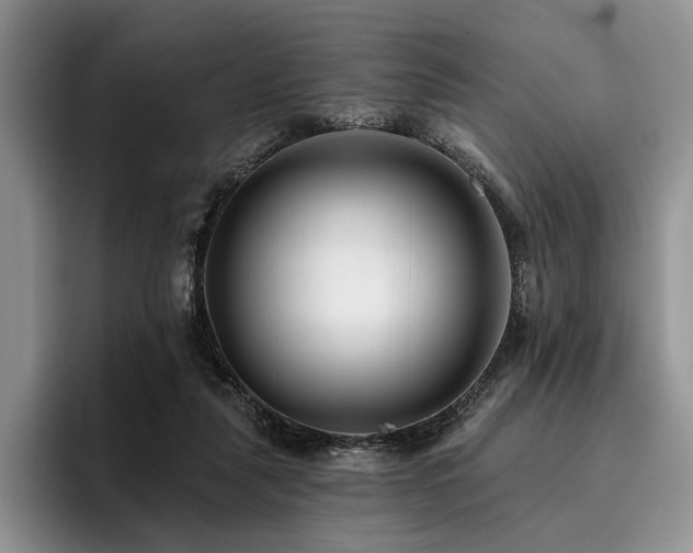 X0000096130259200801181118