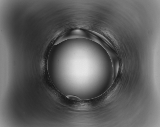 X0000096130260200801181118