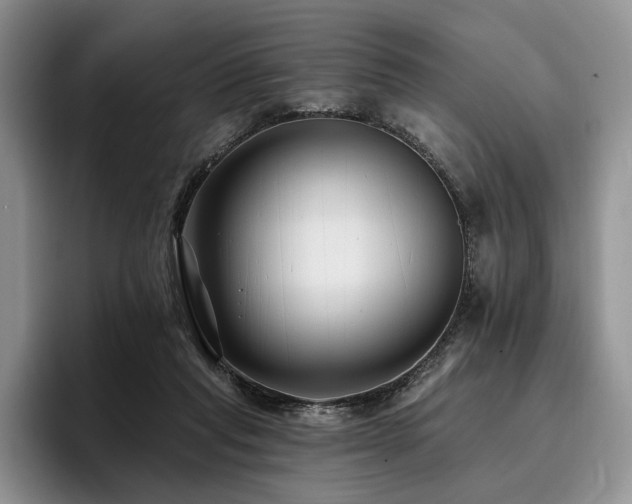 X0000096130261200801181118