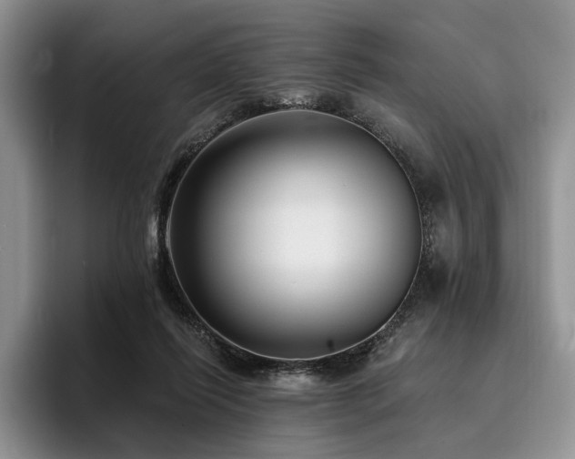 X0000096130262200801181118