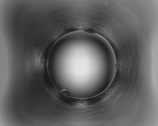 X0000096130263200801181118
