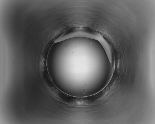 X0000096130264200801181118