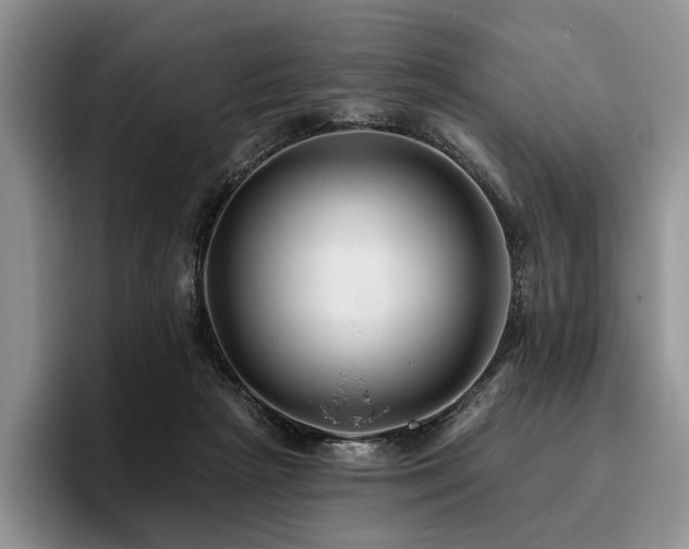 X0000096130265200801181118