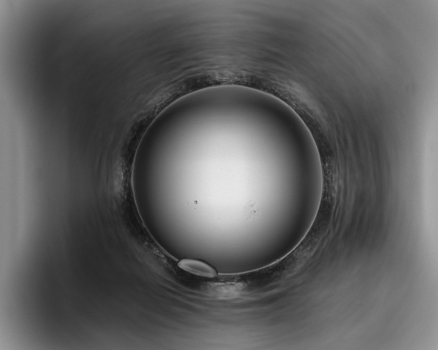X0000096130266200801181118
