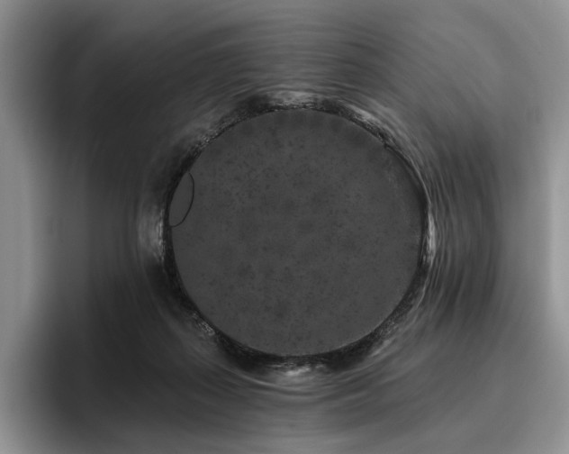 X0000096130267200801181118