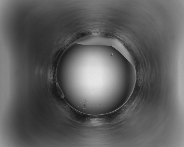 X0000096130268200801181118