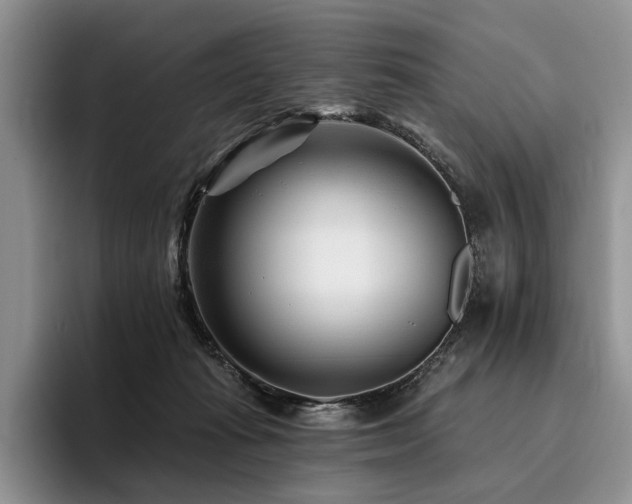 X0000096130269200801181118