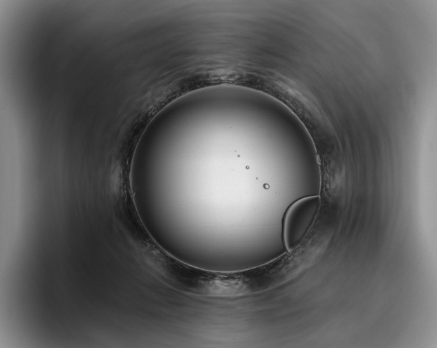 X0000096130270200801181118