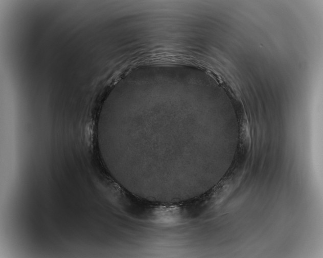 X0000096130271200801181118