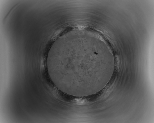 X0000096130272200801181119