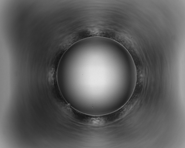 X0000096130275200801181119