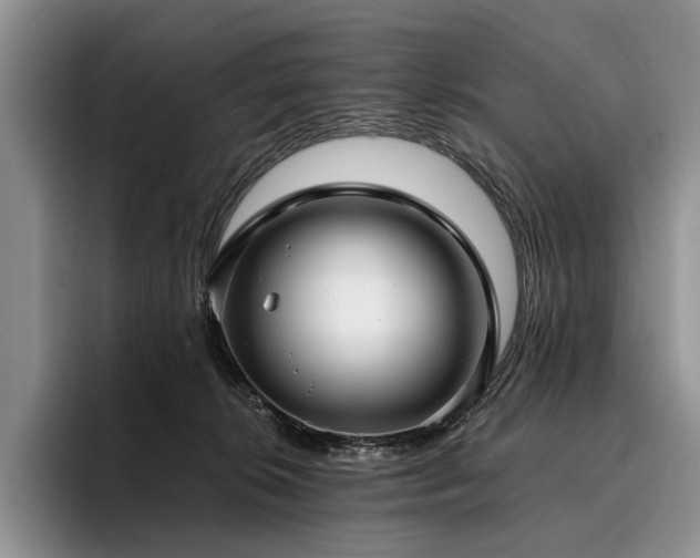 X0000096130276200801181119