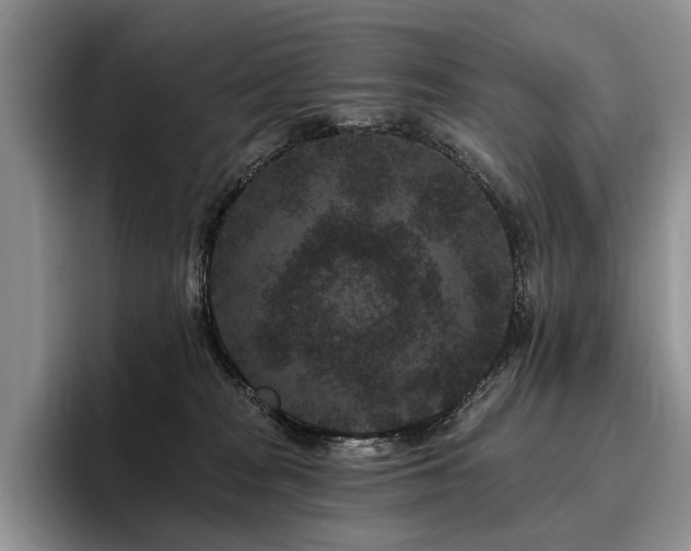 X0000096130277200801181119
