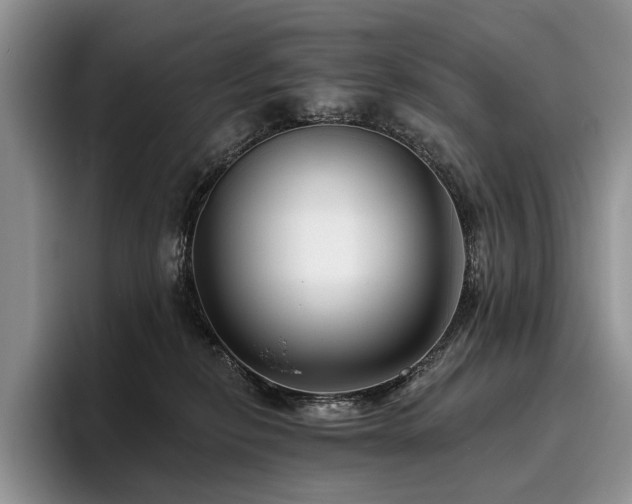 X0000096130278200801181119