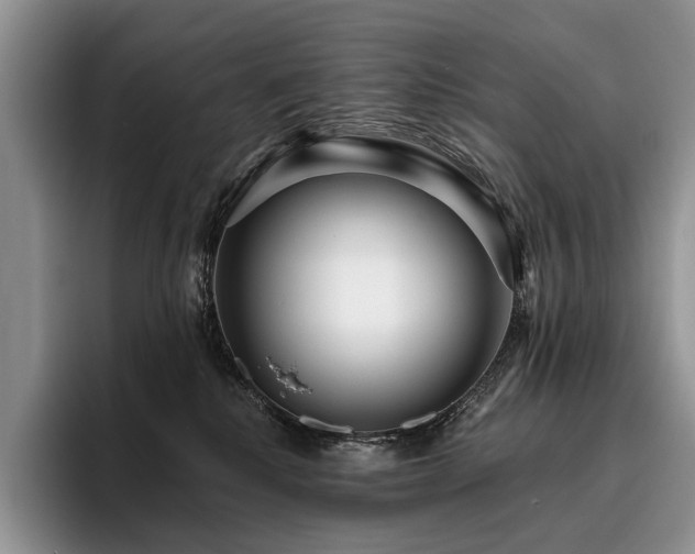 X0000096130280200801181119