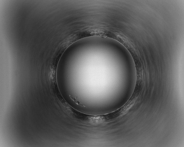 X0000096130281200801181119
