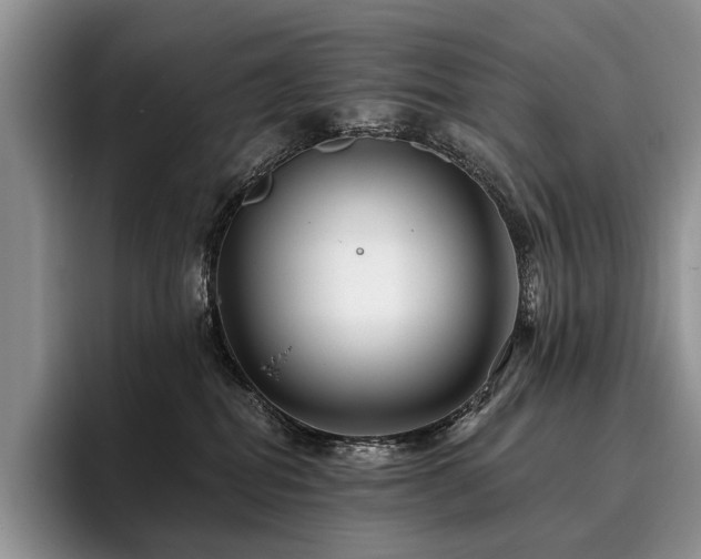 X0000096130282200801181119