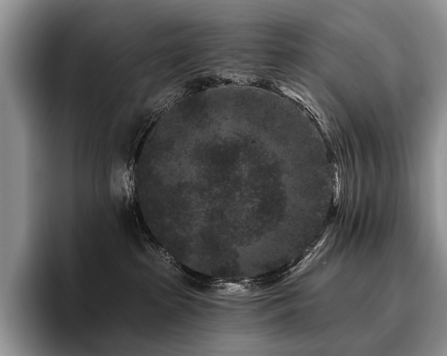 X0000096130285200801181119