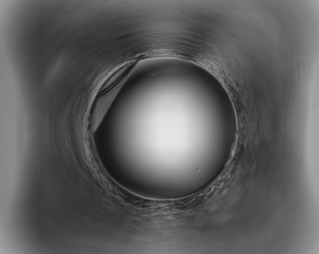 X0000096130289200801181118