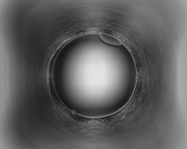 X0000096130290200801181118