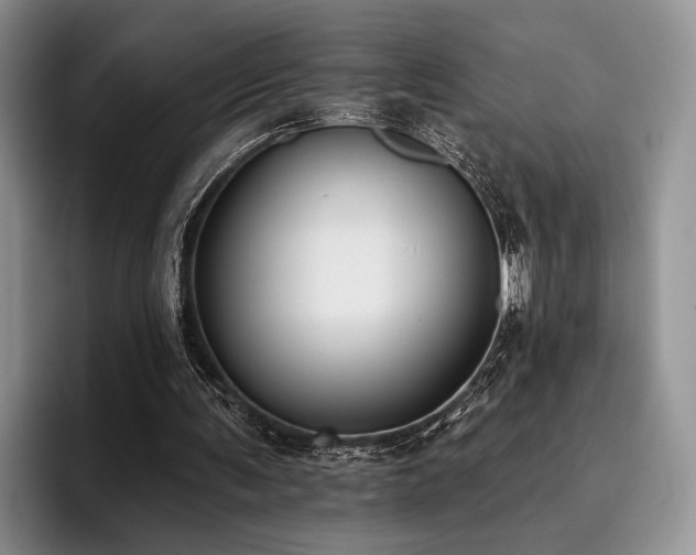 X0000096130291200801181118