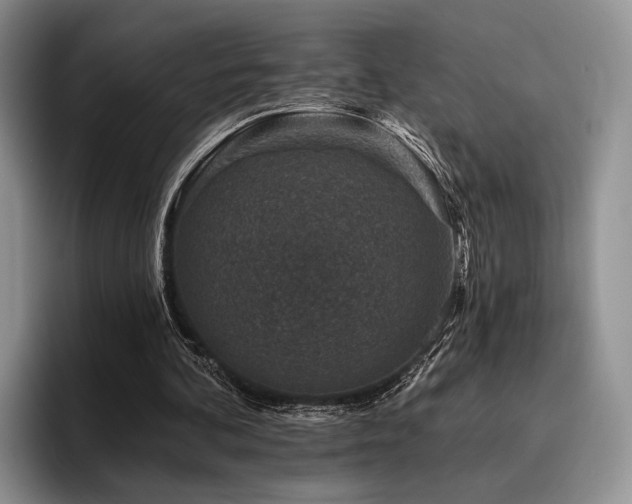 X0000096130292200801181118