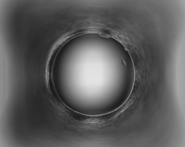 X0000096130294200801181118