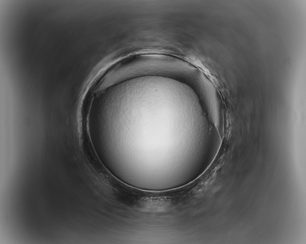 X0000096130296200801181118