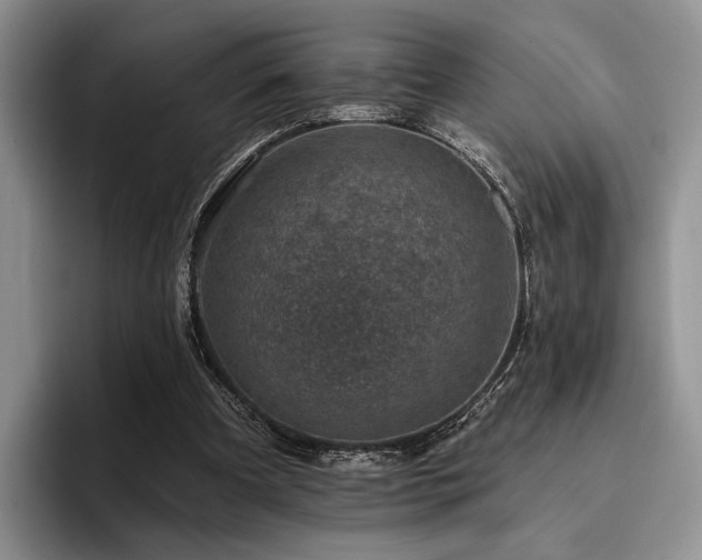 X0000096130297200801181118