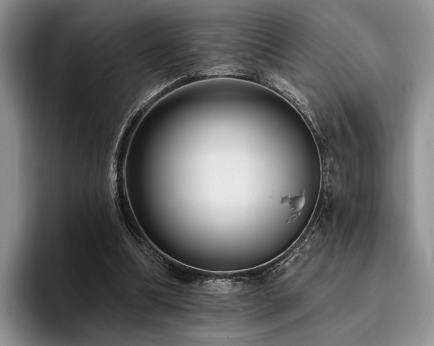 X0000096130298200801181118