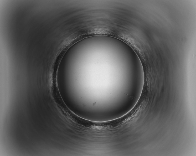 X0000096130299200801181118