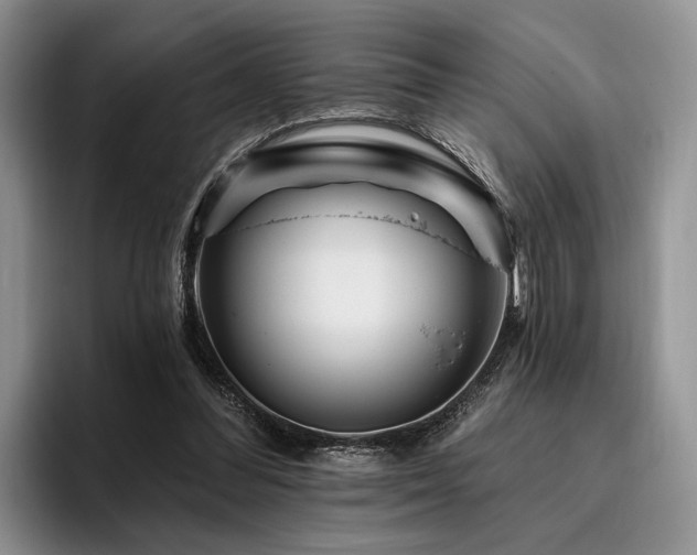 X0000096130300200801181118