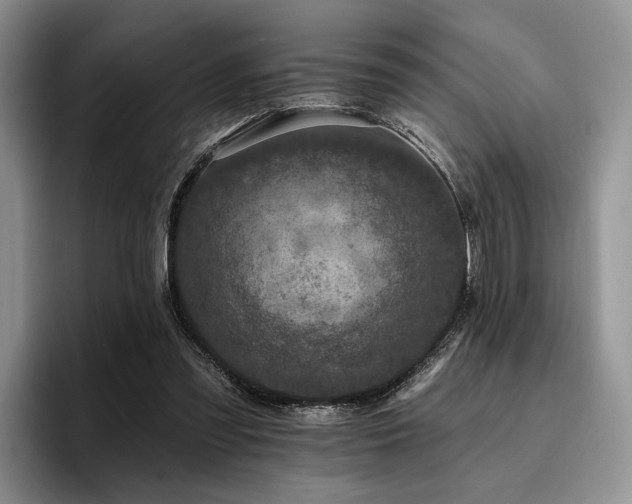 X0000096130301200801181118