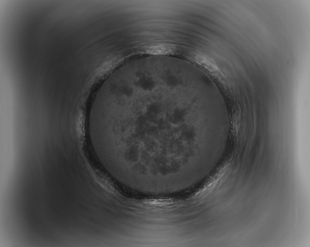 X0000096130303200801181118