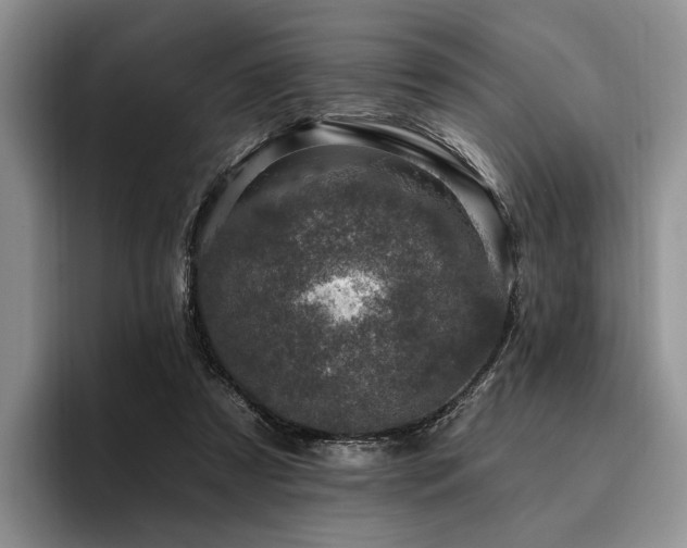 X0000096130305200801181118