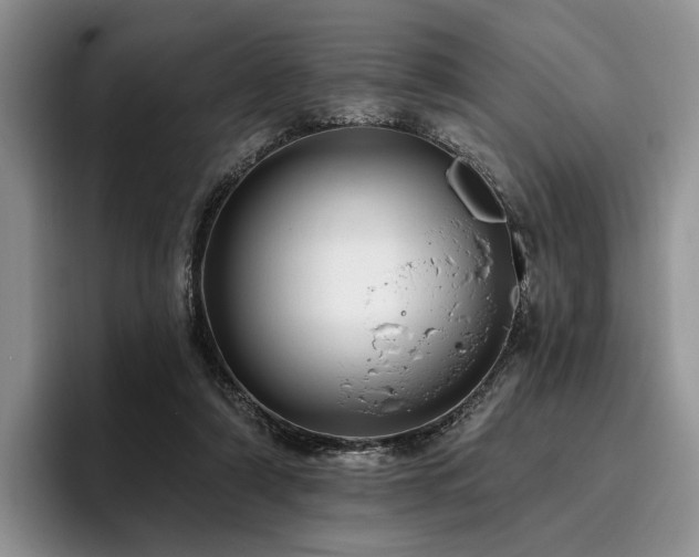 X0000096130306200801181118
