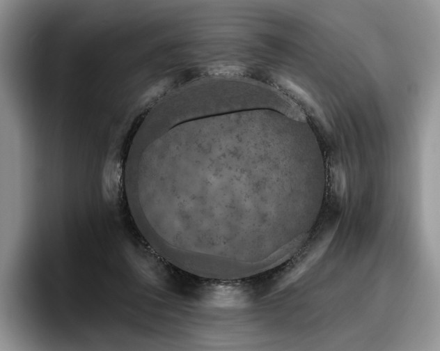 X0000096130308200801181118