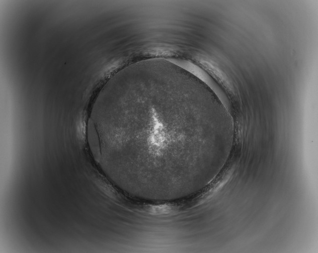 X0000096130309200801181118