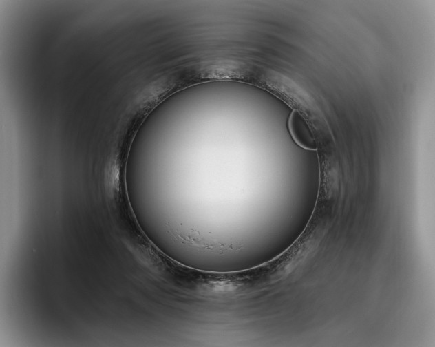 X0000096130310200801181118