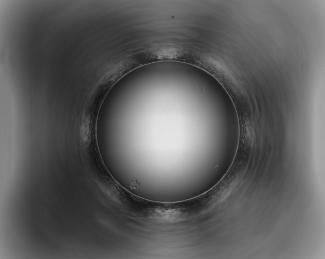 X0000096130311200801181118