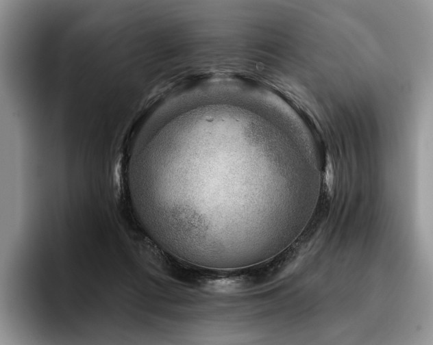 X0000096130312200801181118