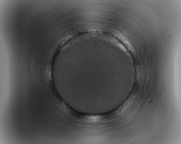 X0000096130313200801181118