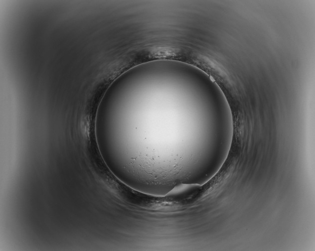 X0000096130315200801181118