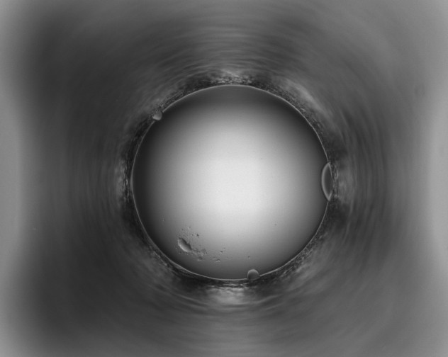 X0000096130318200801181118