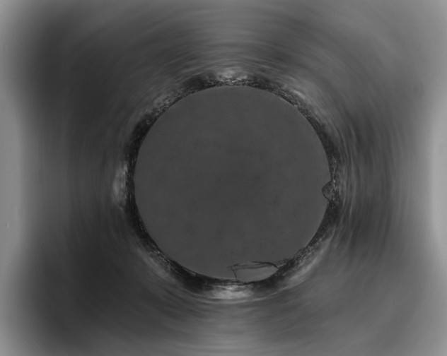 X0000096130319200801181118