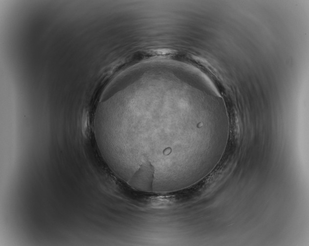 X0000096130320200801181118